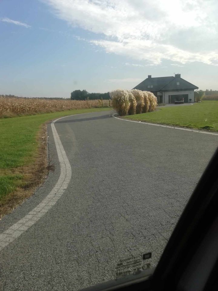 Działka budowlana Orzechów-Kolonia. Zdjęcie 11