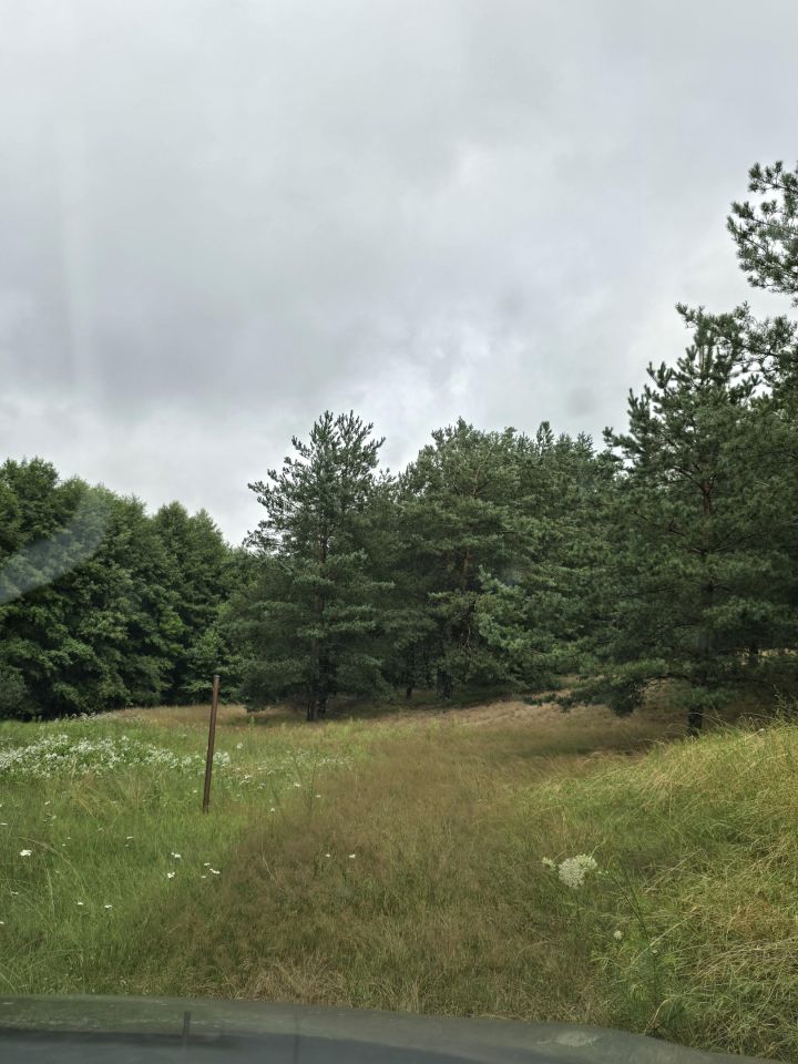 Działka budowlana Rolbik. Zdjęcie 9