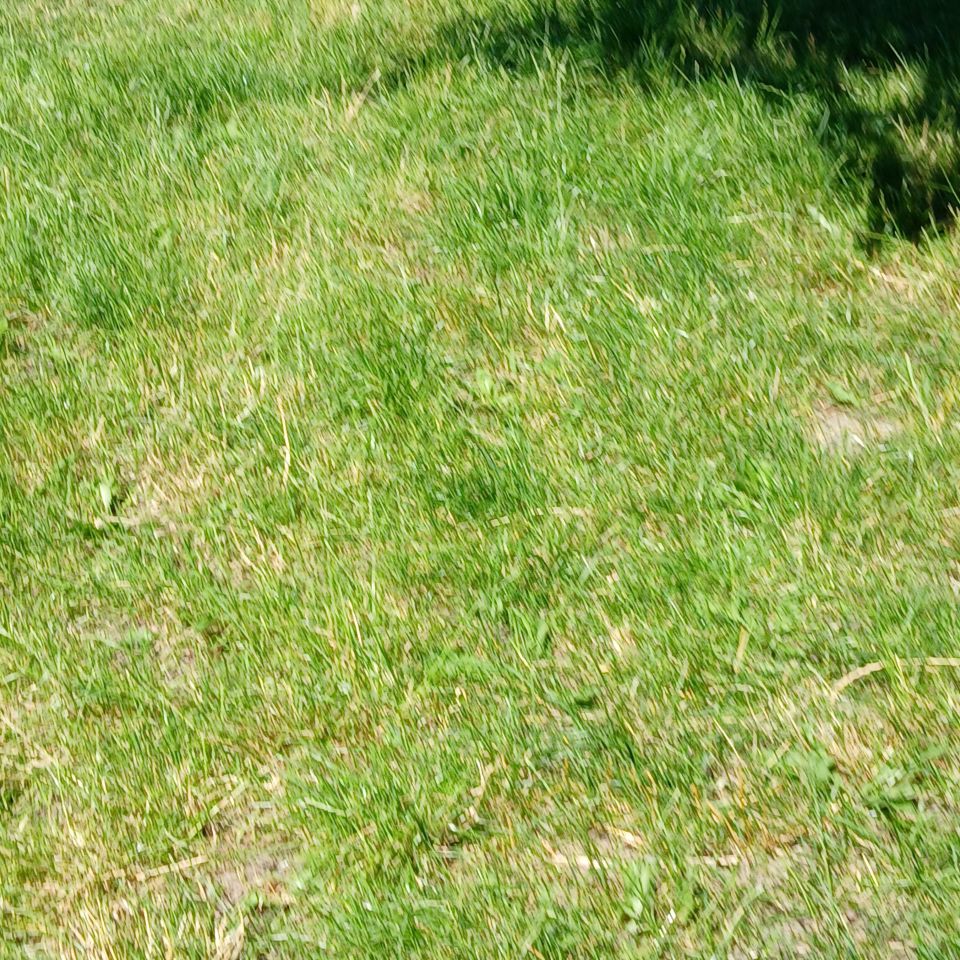 dom wolnostojący, 2 pokoje Rogawka