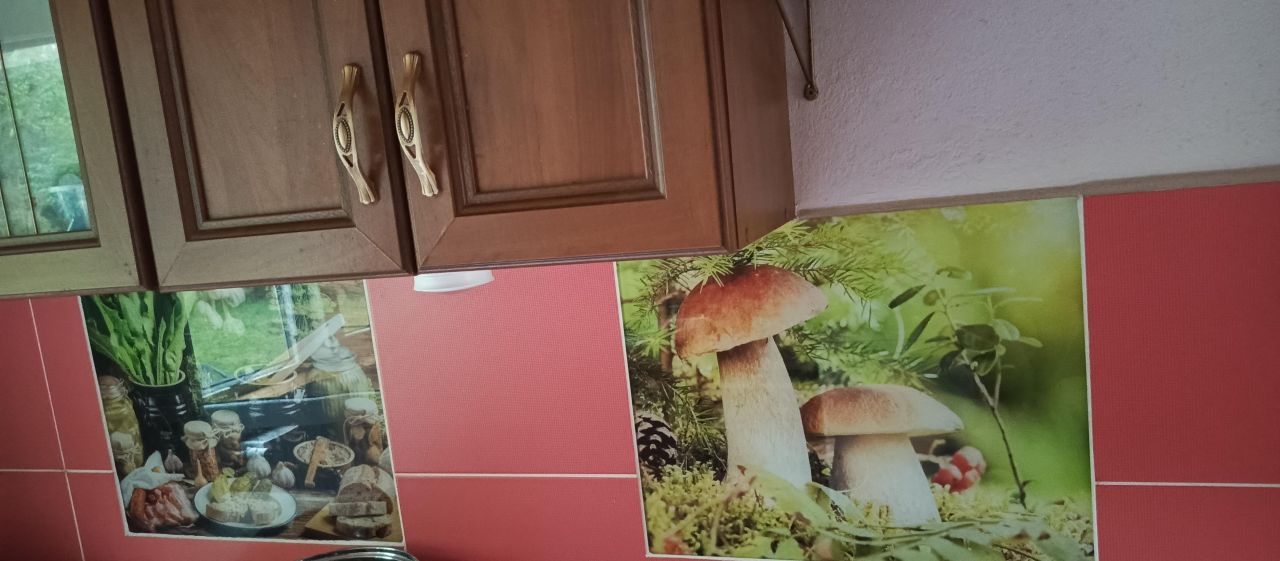 dom letniskowy, 4 pokoje Radawa, Mołodycka. Zdjęcie 12