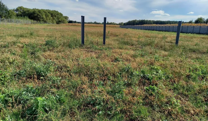 Działka budowlana Zieleń