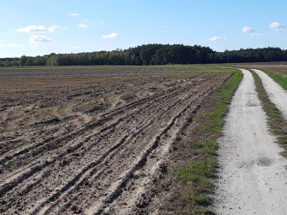 Działka budowlana Osowa. Zdjęcie 4