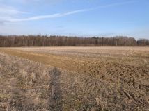 Działka rolno-budowlana Luszowice. Zdjęcie 1