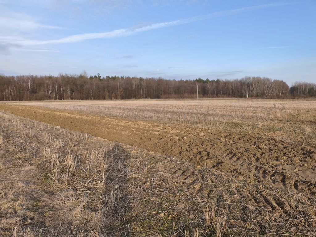 Działka rolno-budowlana Luszowice. Zdjęcie 2
