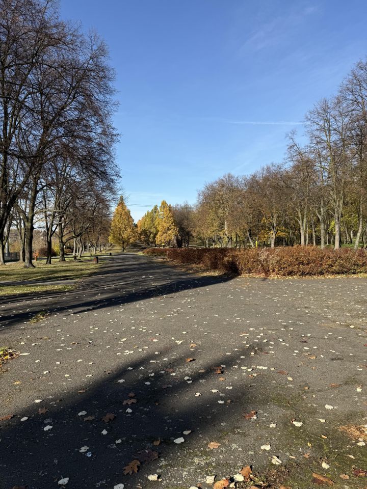 Mieszkanie 2-pokojowe Katowice Dąb, ul. Sportowa. Zdjęcie 12