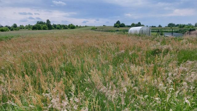 Działka rolno-budowlana Radoszyce, ul. Leśna. Zdjęcie 1