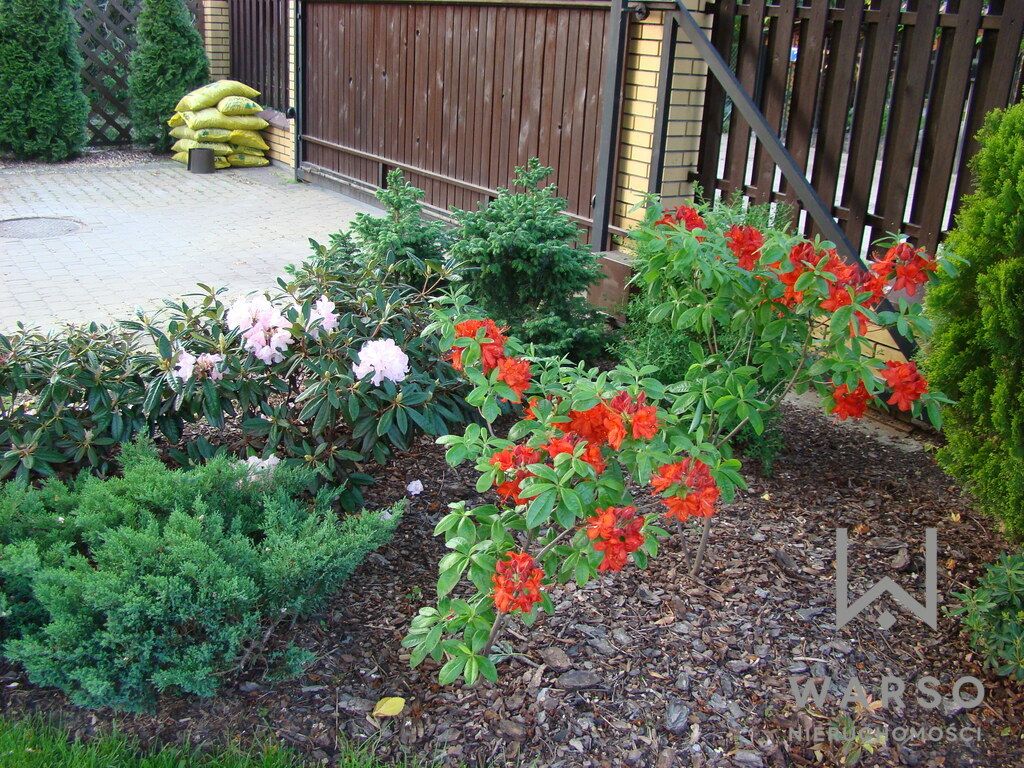 dom wolnostojący, 7 pokoi Józefów, ul. Sienkiewicza. Zdjęcie 33