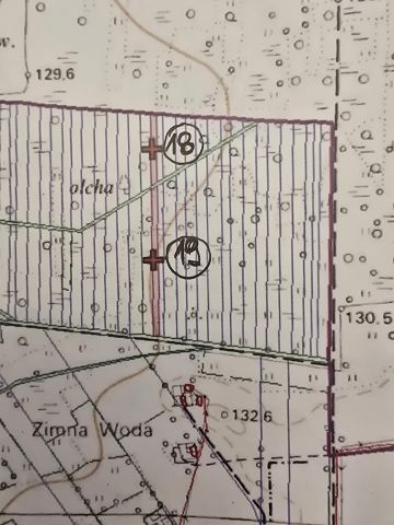 Działka inna Przespolew Pański. Zdjęcie 1