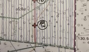 Działka inna Przespolew Pański