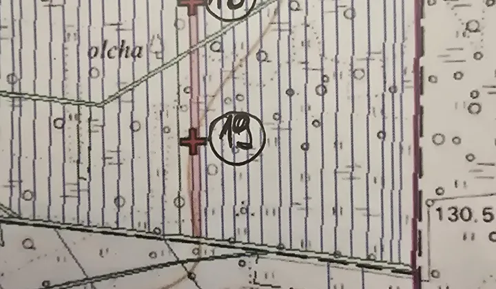 Działka inna Przespolew Pański