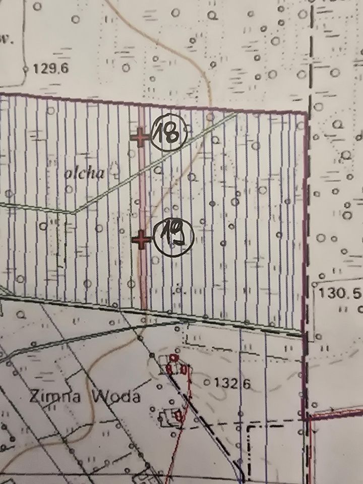 Działka inna Przespolew Pański