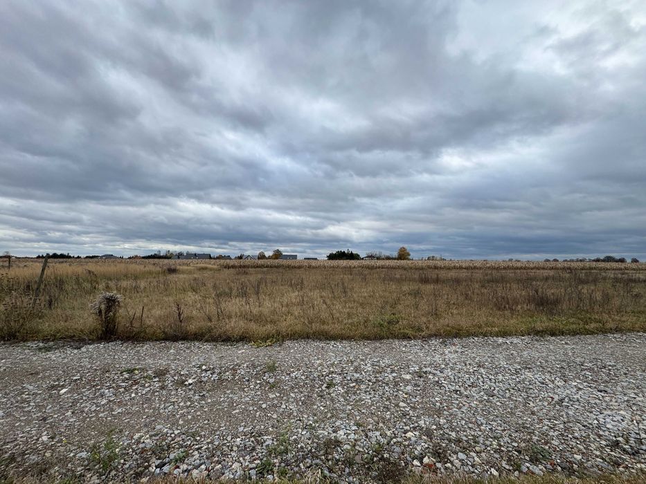 Działka budowlana Konstantynów Łódzki, ul. Zgierska. Zdjęcie 3