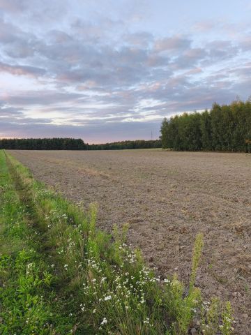 Działka budowlana Grabie Polskie. Zdjęcie 1