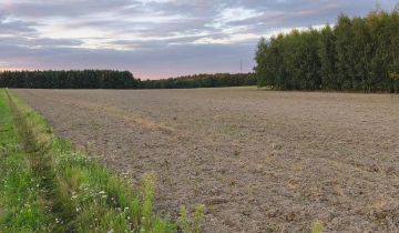 Działka budowlana Grabie Polskie