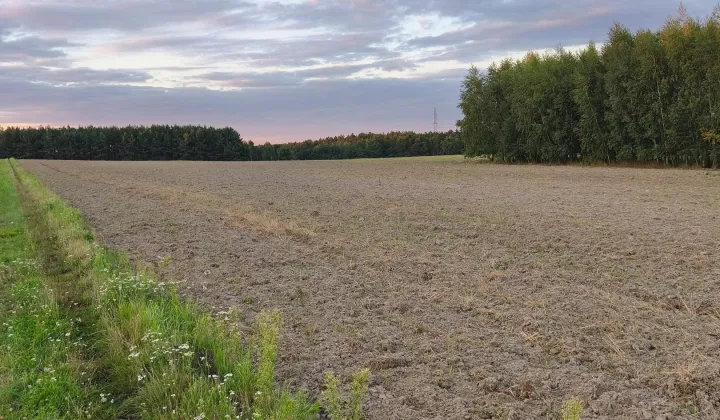 Działka budowlana Grabie Polskie