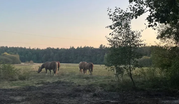 Działka budowlana Basinów