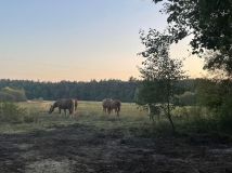 Działka budowlana Basinów