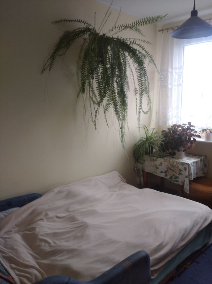 Mieszkanie 3-pokojowe Koszalin Chełmoniewo, ul. Kazimierza Tetmajera. Zdjęcie 11