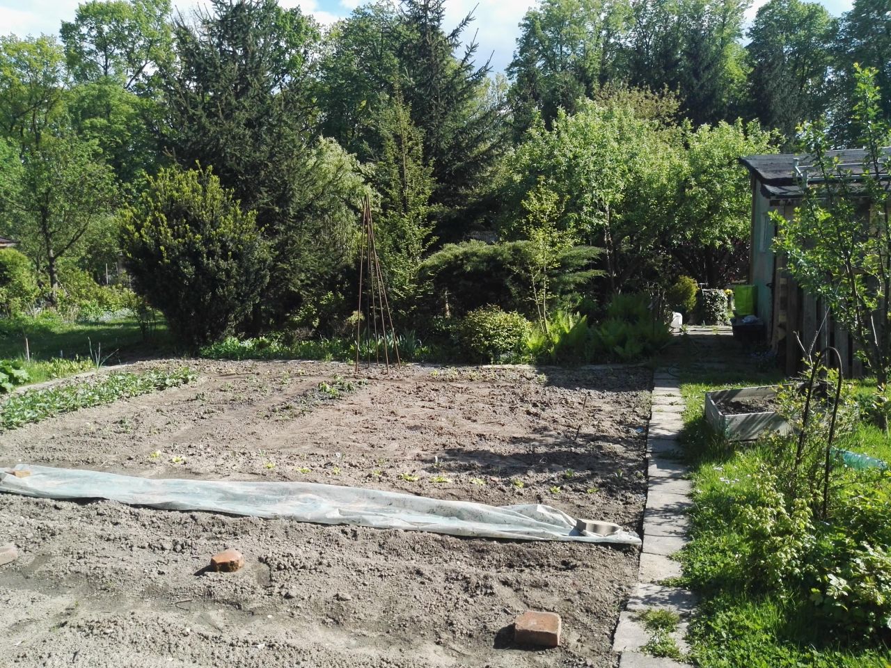 Działka rod Kraków Bielany, ul. Mirowska. Zdjęcie 9