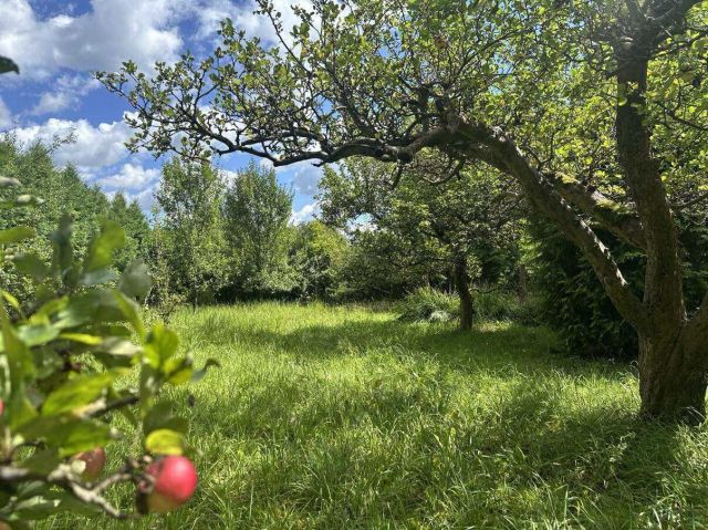 Działka rod Droszków. Zdjęcie 1