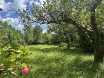 Działka rod Droszków