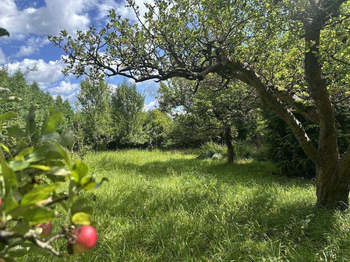 Działka rod Droszków