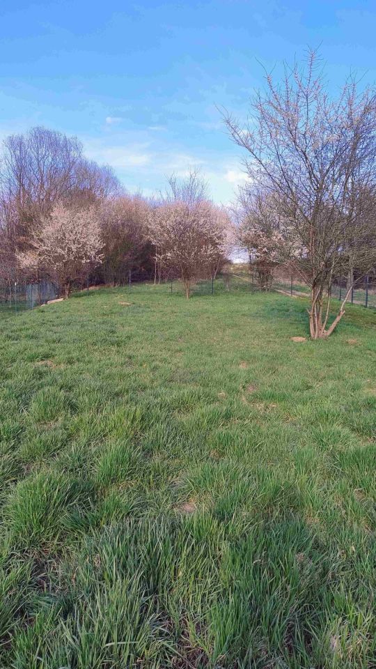 Działka rod Żywiec, ul. Góra Burgałowska. Zdjęcie 3