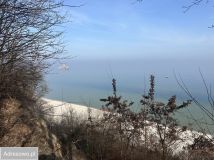 Działka rod Gdynia Babie Doły. Zdjęcie 4