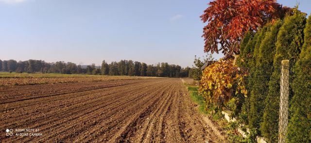 Działka rolno-budowlana Jasień. Zdjęcie 1