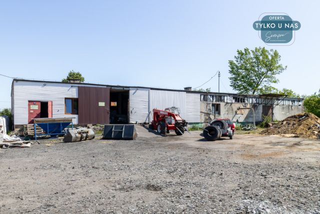 Hala/magazyn Rossoszyca, ul. Sieradzka. Zdjęcie 13