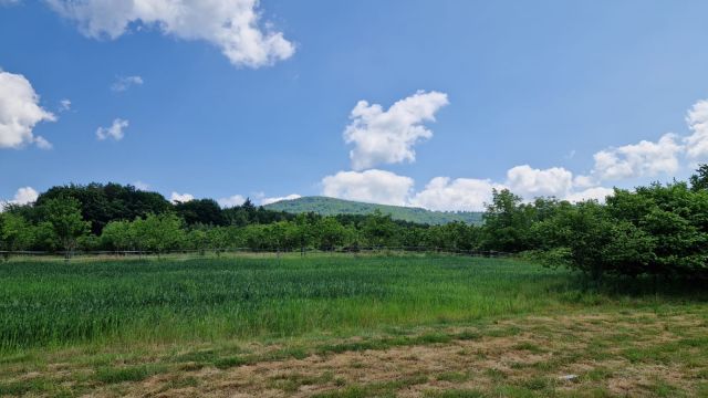 Działka siedliskowa Sady. Zdjęcie 3