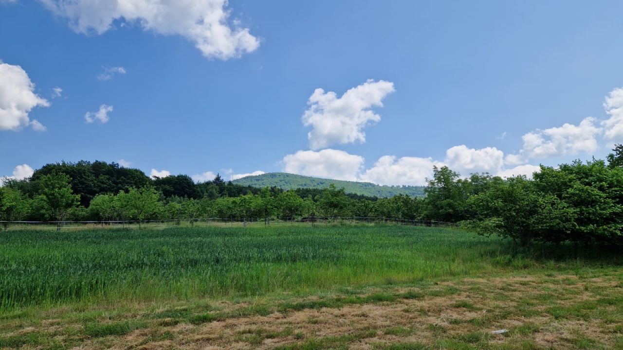 Działka siedliskowa Sady. Zdjęcie 3