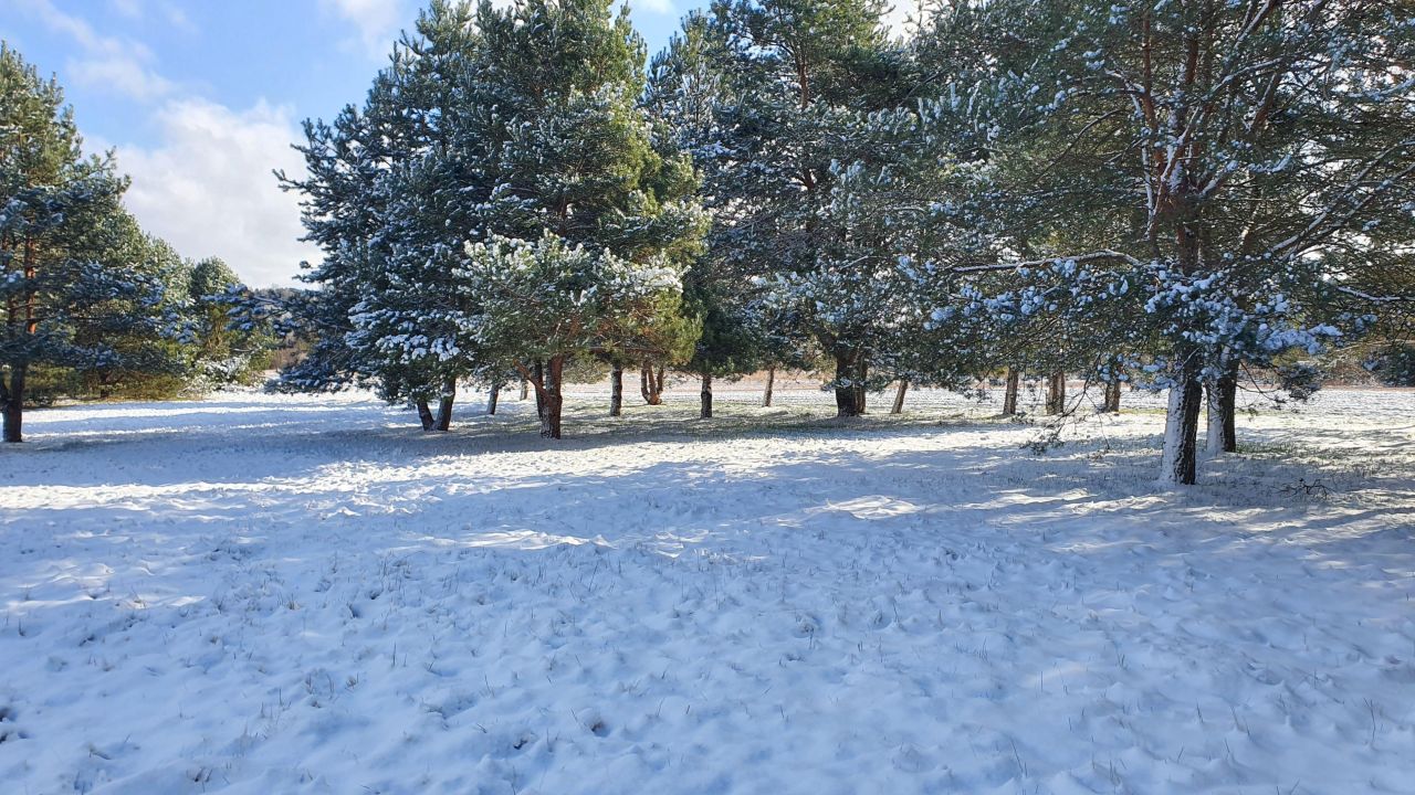 dom wolnostojący, 3 pokoje Skarbka Bidzińszczyzna, Bidizńszczyzna. Zdjęcie 20