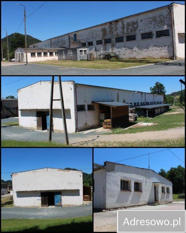 Hala/magazyn Karpniki, ul. Turystyczna. Zdjęcie 3