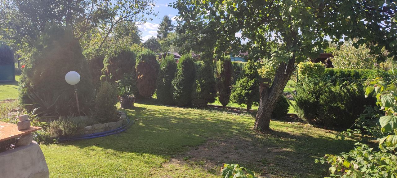 Działka rod Gliwice Śródmieście, ul. Stanisława Wyspiańskiego. Zdjęcie 5