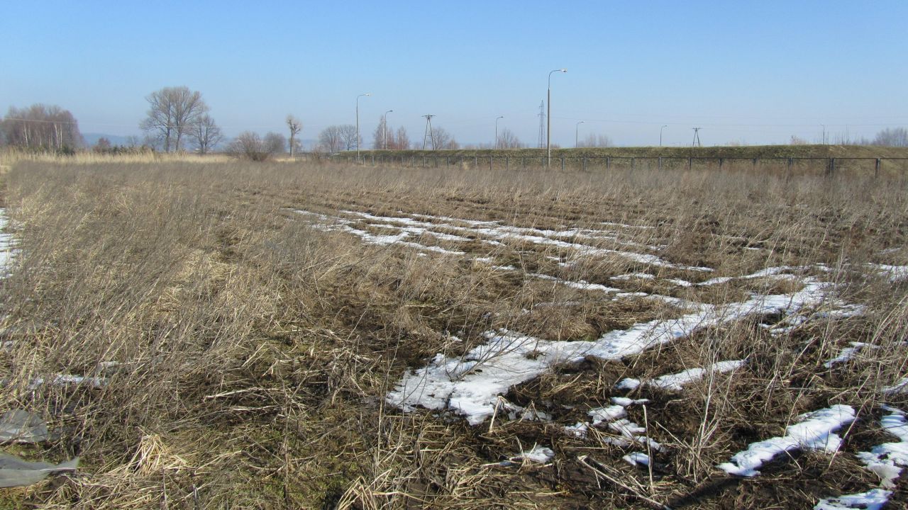 dom wolnostojący, 5 pokoi Gorzów Wielkopolski Siedlice, ul. Żytnia. Zdjęcie 9