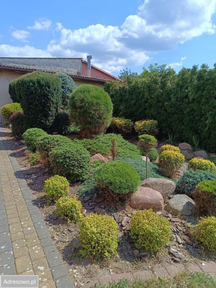 dom wolnostojący, 4 pokoje Białaczów, ul. Parczowska. Zdjęcie 12