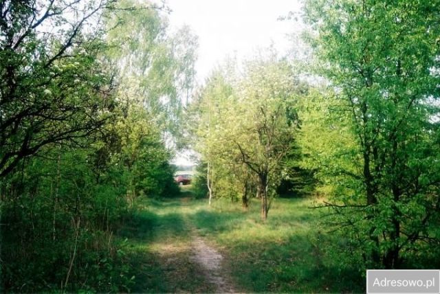 Działka budowlana Cielętniki, ul. Żurawia. Zdjęcie 1