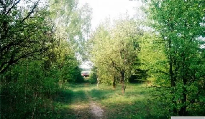 Działka budowlana Cielętniki, ul. Żurawia