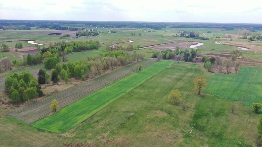 Działka rolno-budowlana Cieciory. Zdjęcie 8