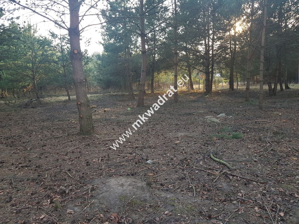 Działka Rozalin. Zdjęcie 5