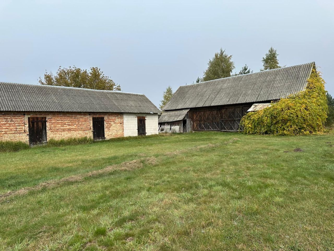 Działka siedliskowa Tuczna. Zdjęcie 2
