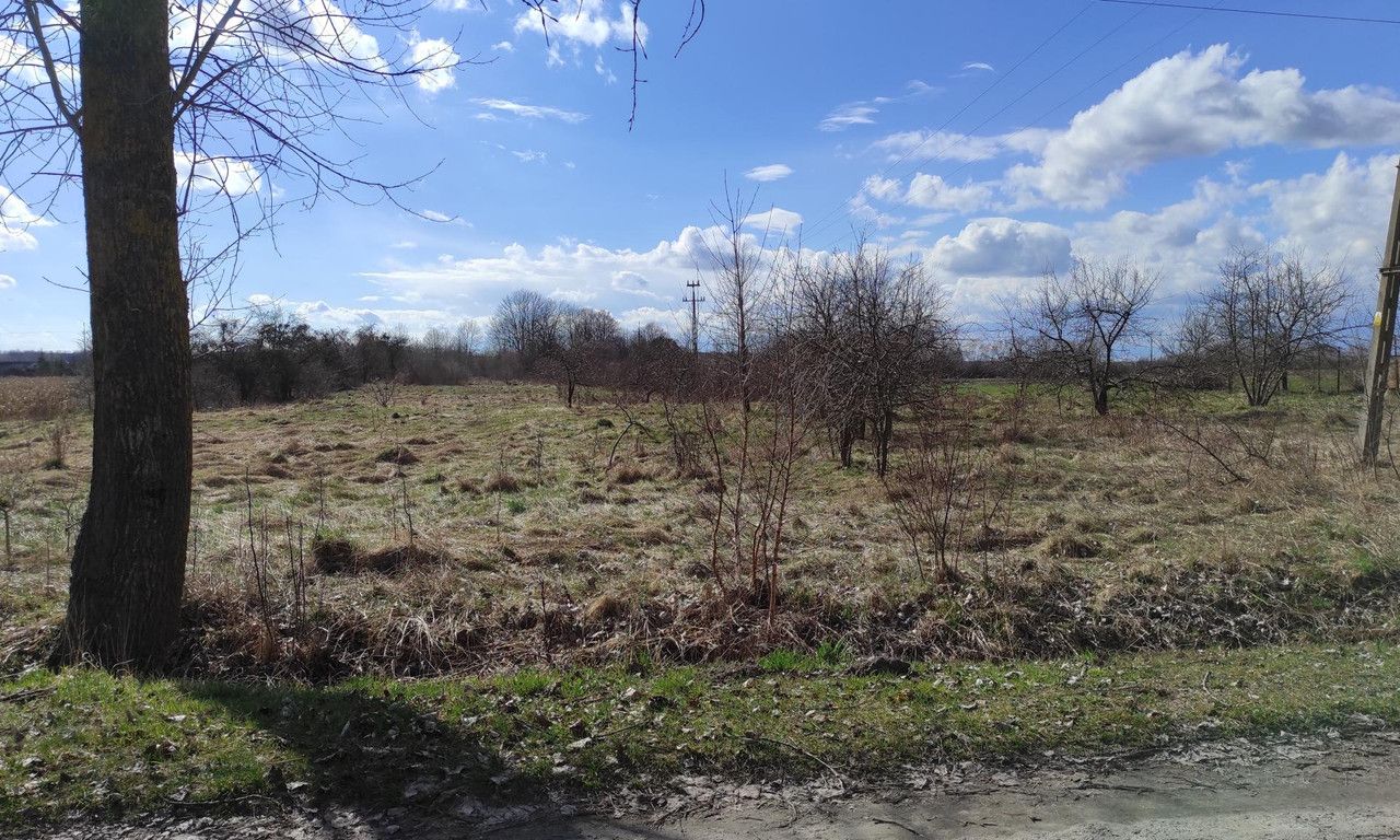 Działka rolno-budowlana Teosin. Zdjęcie 2