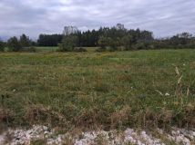 Działka budowlana Solec-Zdrój, ul. Mikołaja Kopernika. Zdjęcie 3