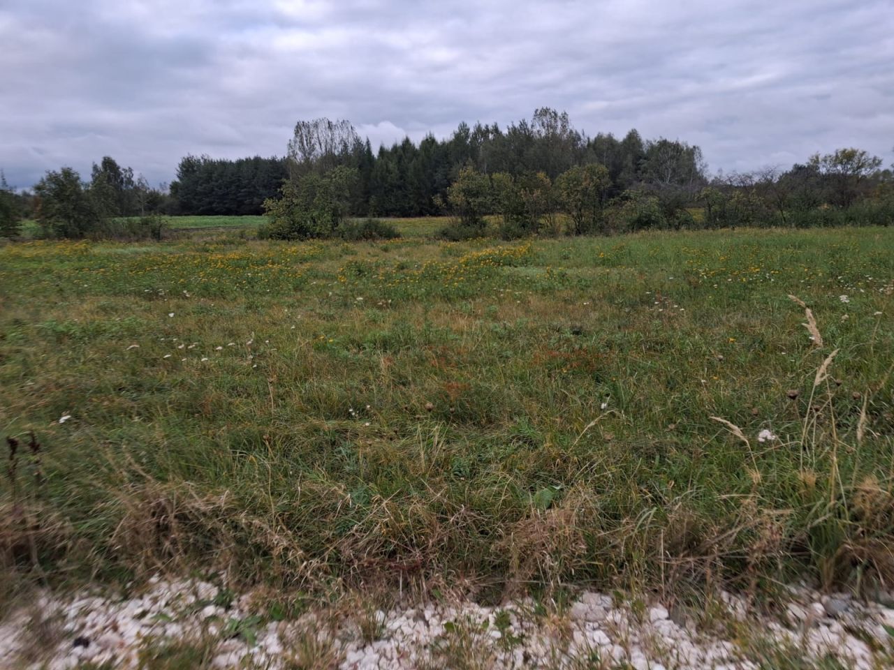 Działka budowlana Solec-Zdrój, ul. Mikołaja Kopernika. Zdjęcie 4