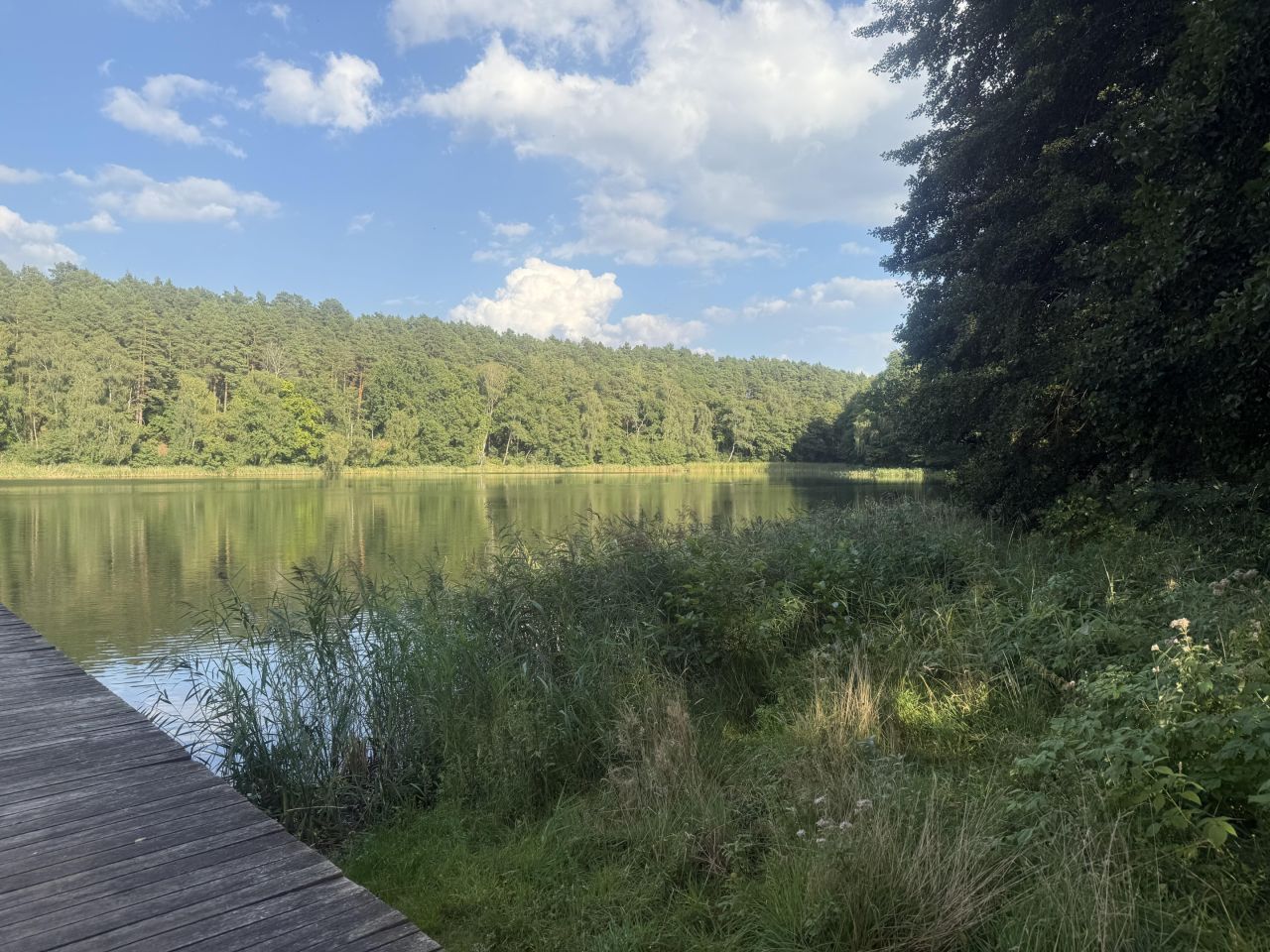 Działka rekreacyjna Kosobudz, Środek wioski. Zdjęcie 3