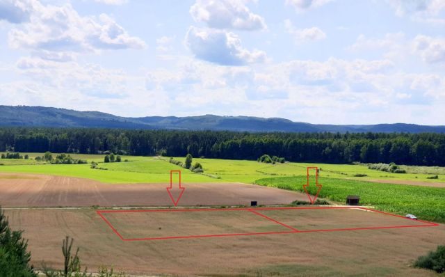 Działka budowlana Strzebielino, ul. Zagrodowa. Zdjęcie 1