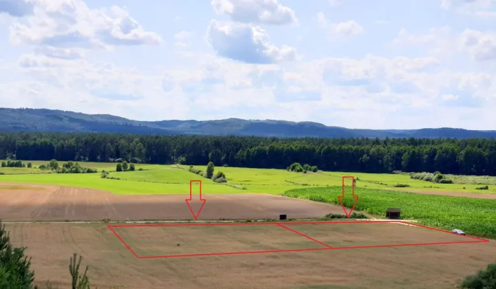 Działka budowlana Strzebielino, ul. Zagrodowa