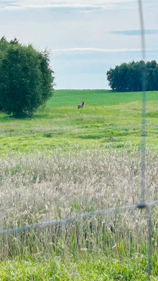 Działka rolno-budowlana Pilchowice, ul. Wielopole. Zdjęcie 5