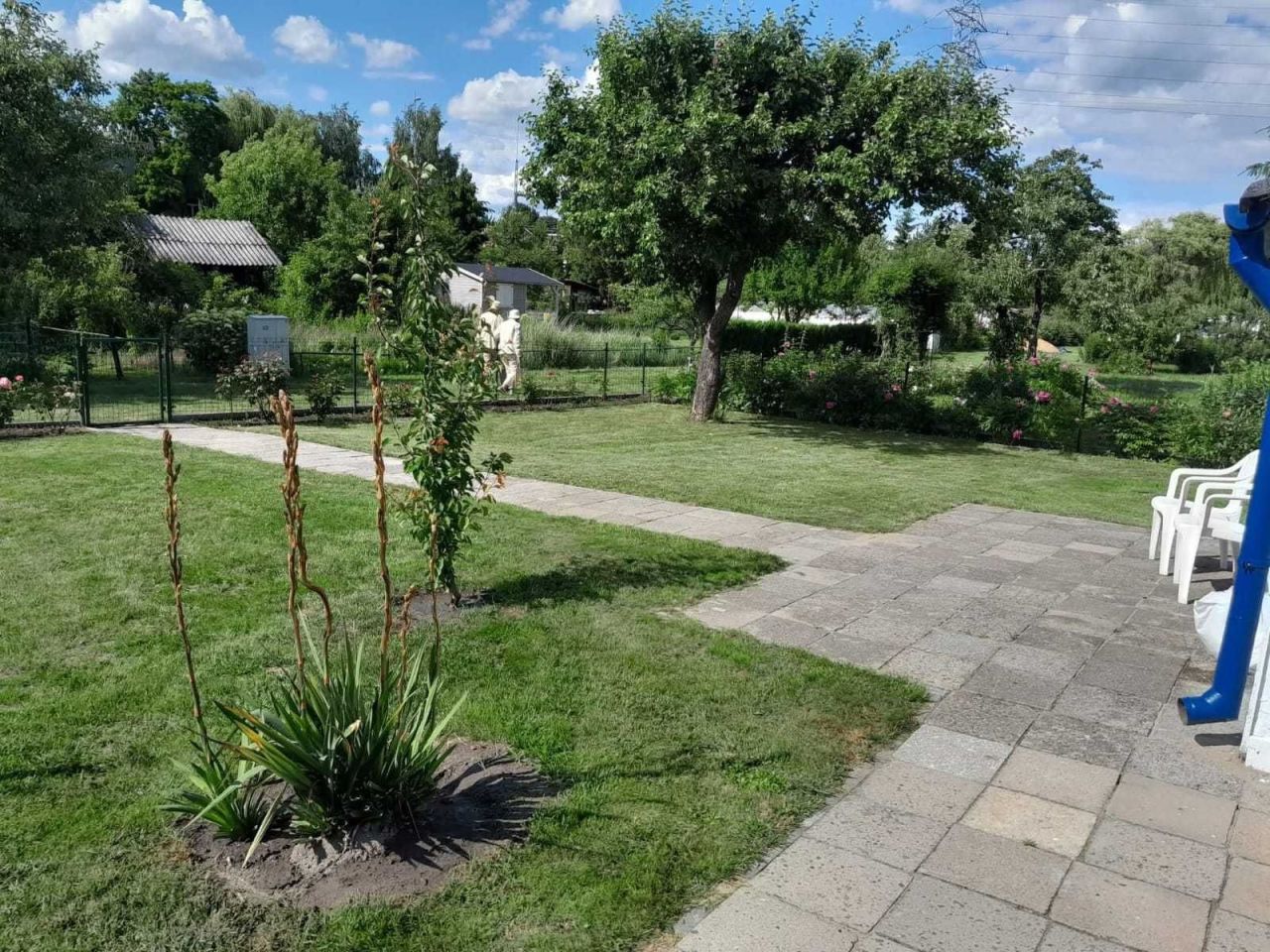 Działka rod Lublin. Zdjęcie 2